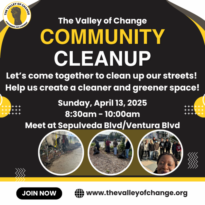 Community Cleanup 41325